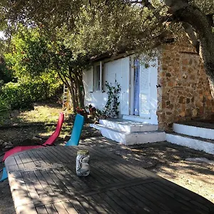 Splendid On Tuscan Sea Casa vacanze